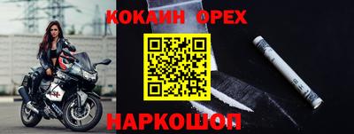 гашик Малоярославец