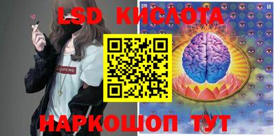 гашик Малоярославец