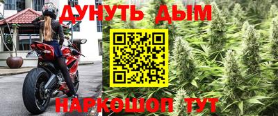 каннабис Малгобек