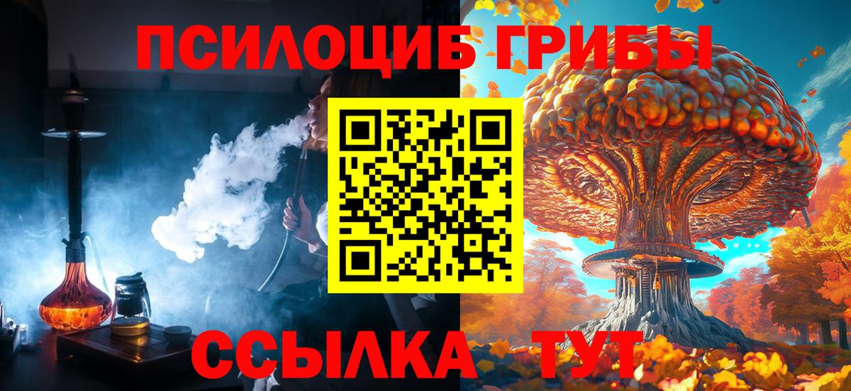 Псилоцибиновые грибы мухоморы  Псилоцибиновые грибы ЛСД  Вятские Поляны  купить наркотики цена  Вход с VPN 