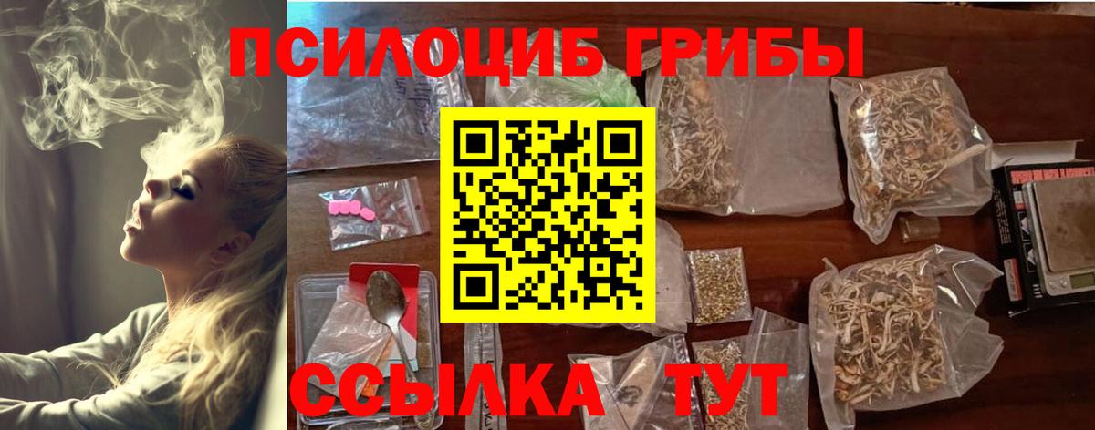Псилоцибиновые грибы Cubensis Вятские Поляны